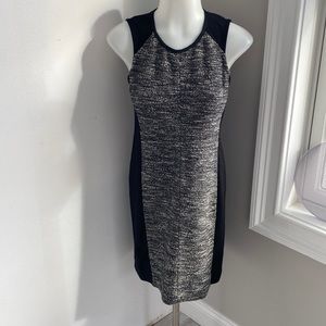 Eileen‎ Fisher Color Block Dress